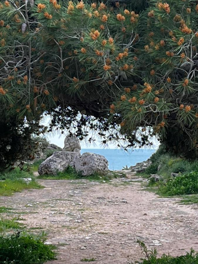 Colibri B&B Sciacca Bagian luar foto
